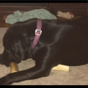 Meet your Posher, Angela